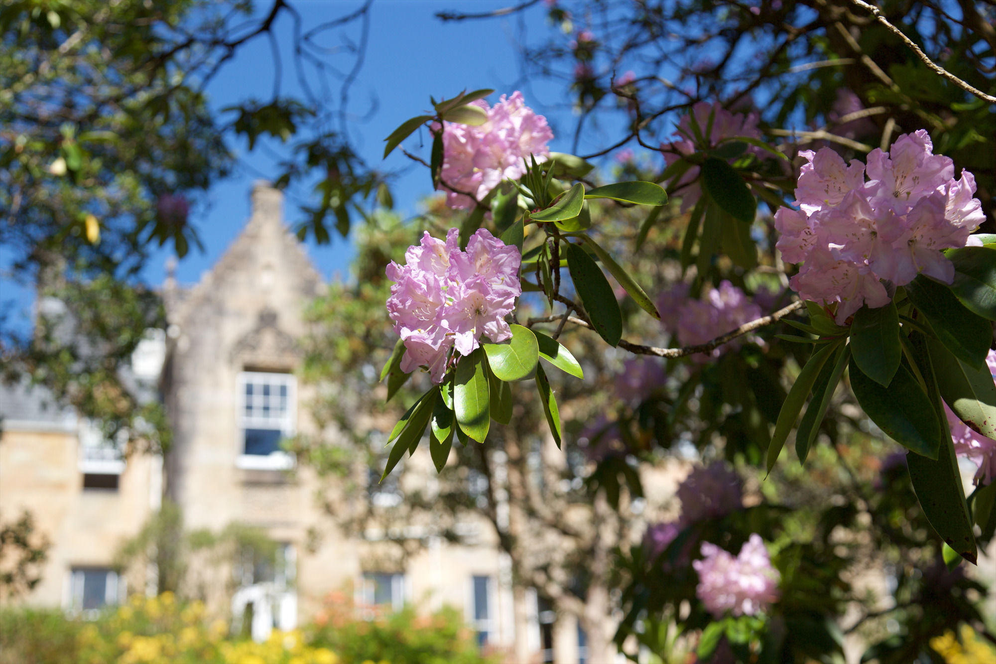 Stonefield Castle Hotel Eksteriør billede